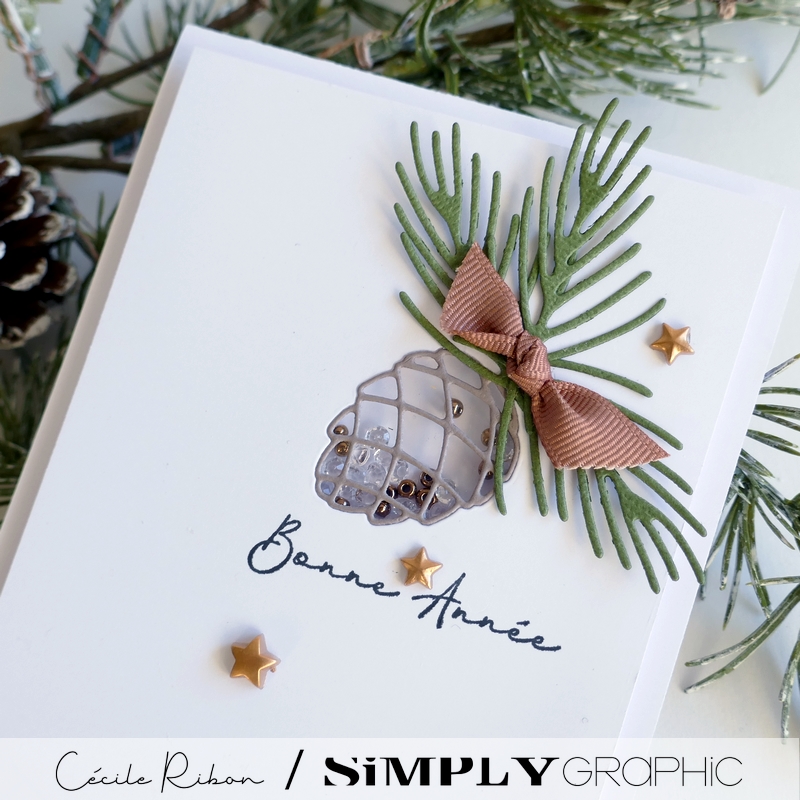 CalAvent SG #11 - P1370750