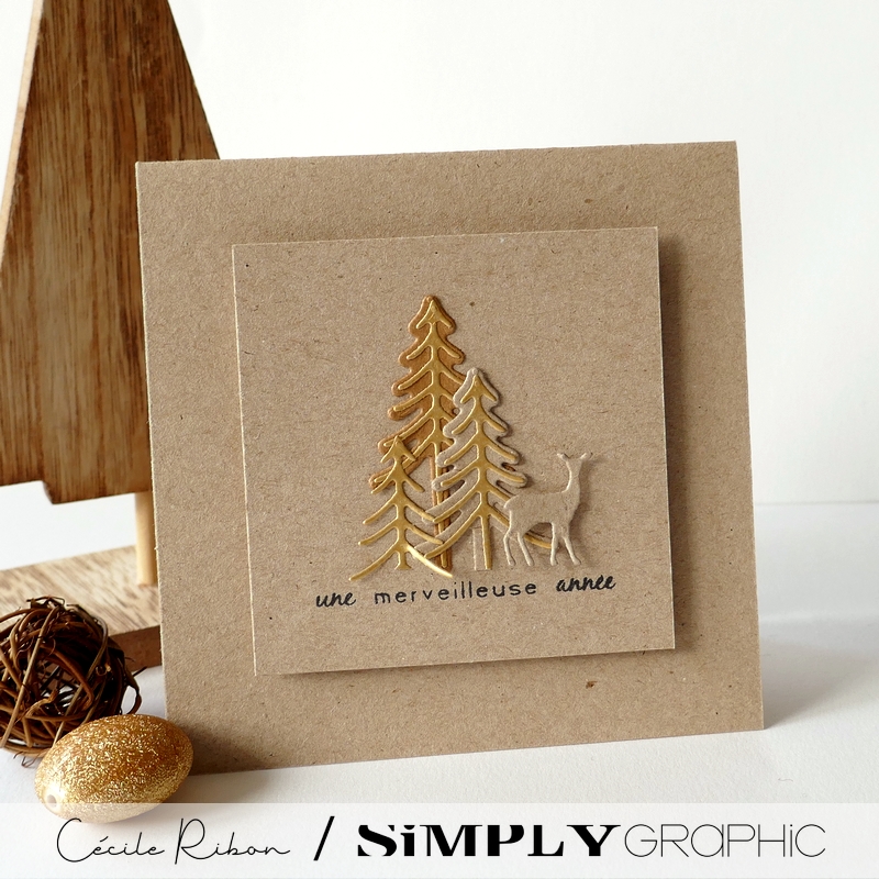 CalAvent SG #13 - P1370906