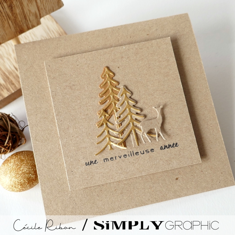 CalAvent SG #13 - P1370910