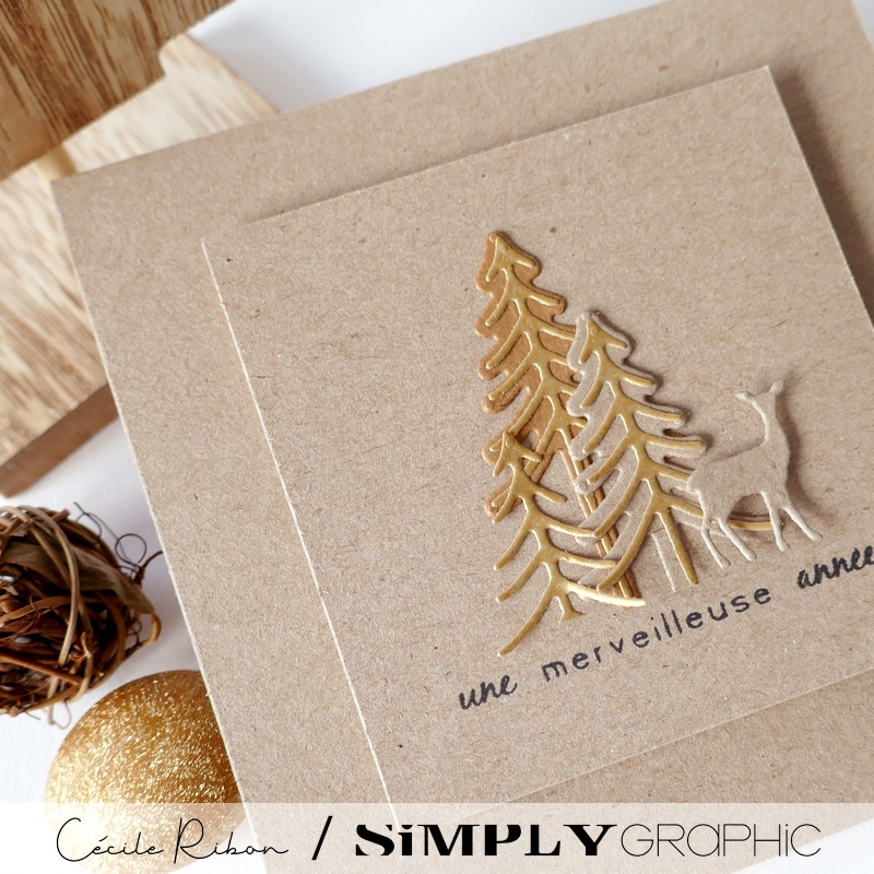 CalAvent SG #13 - P1370915