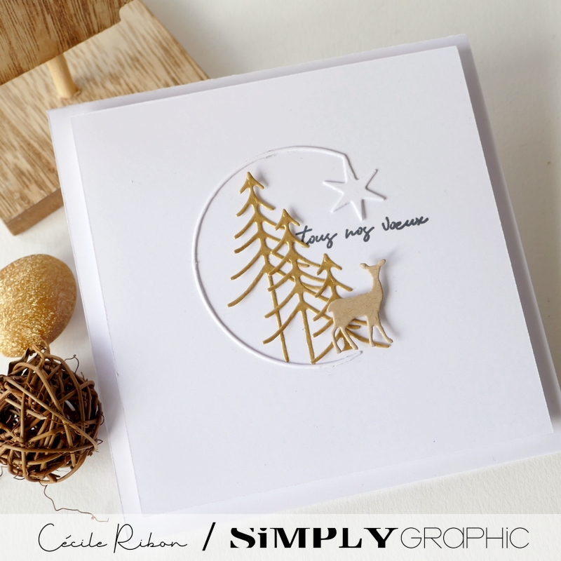 CalAvent SG #13 - P1370938