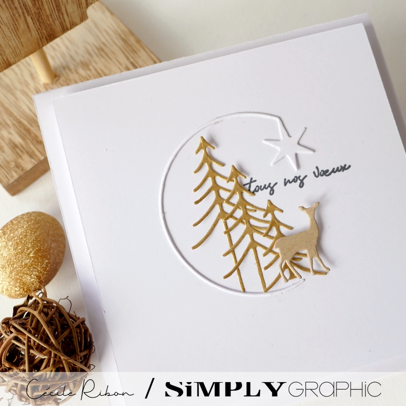 CalAvent SG #13 - P1370945