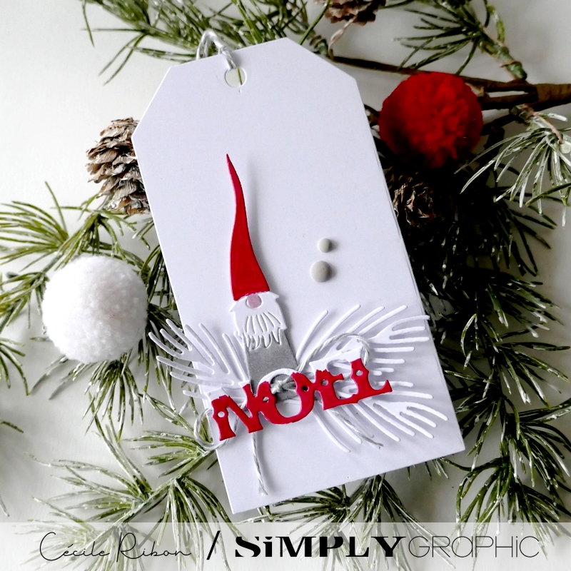 CalAvent SG #14 - P1380021