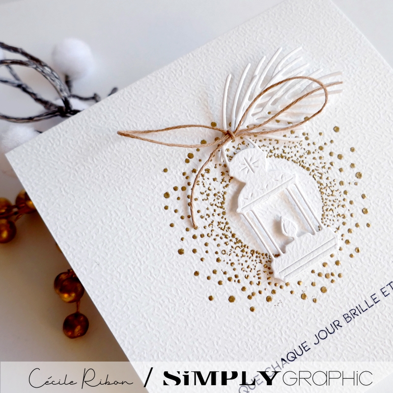 CalAvent SG #16 - P1380181