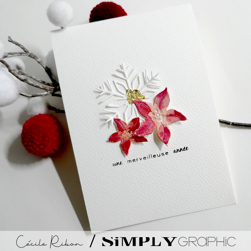 CalAvent SG #20 - P1380306