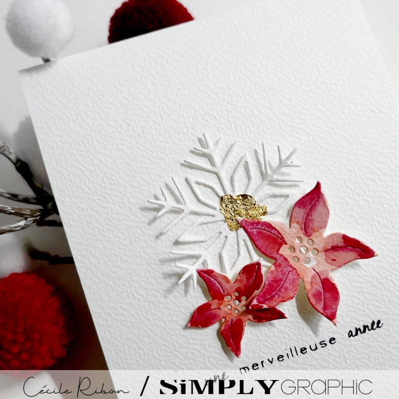 CalAvent SG #20 - P1380311