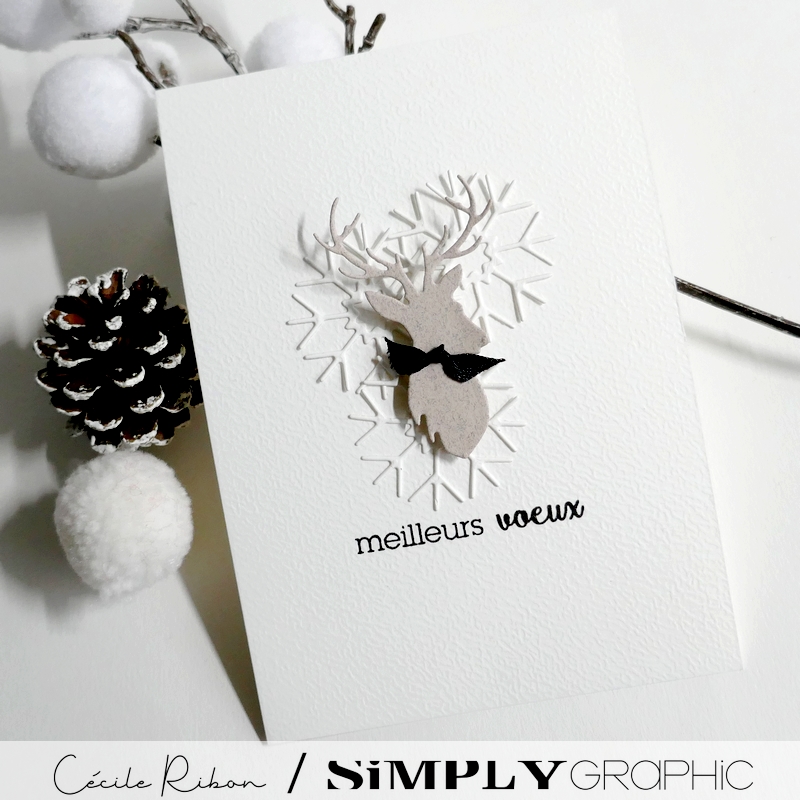 CalAvent SG #21 - P1380320