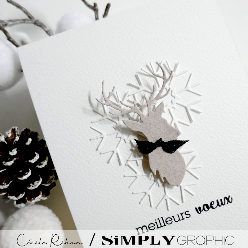 CalAvent SG #21 - P1380324