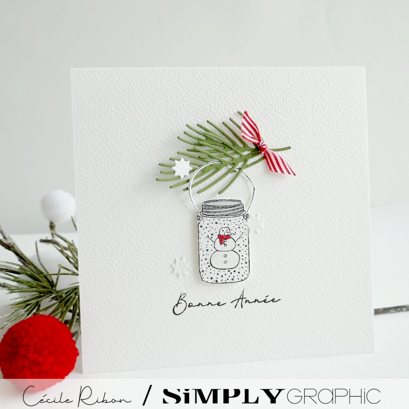 CalAvent SG #22 - P1380434