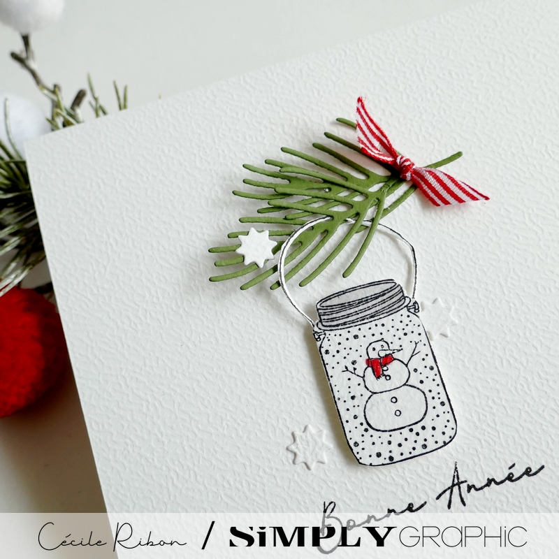 CalAvent SG #22 - P1380449