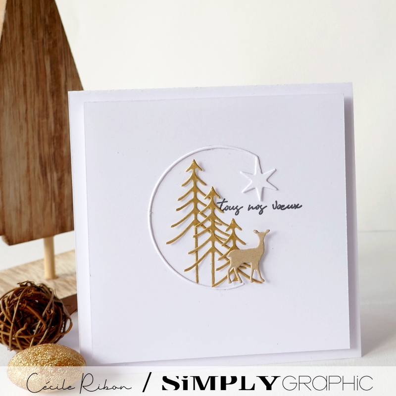 CalAvent SG#13 - P1370920