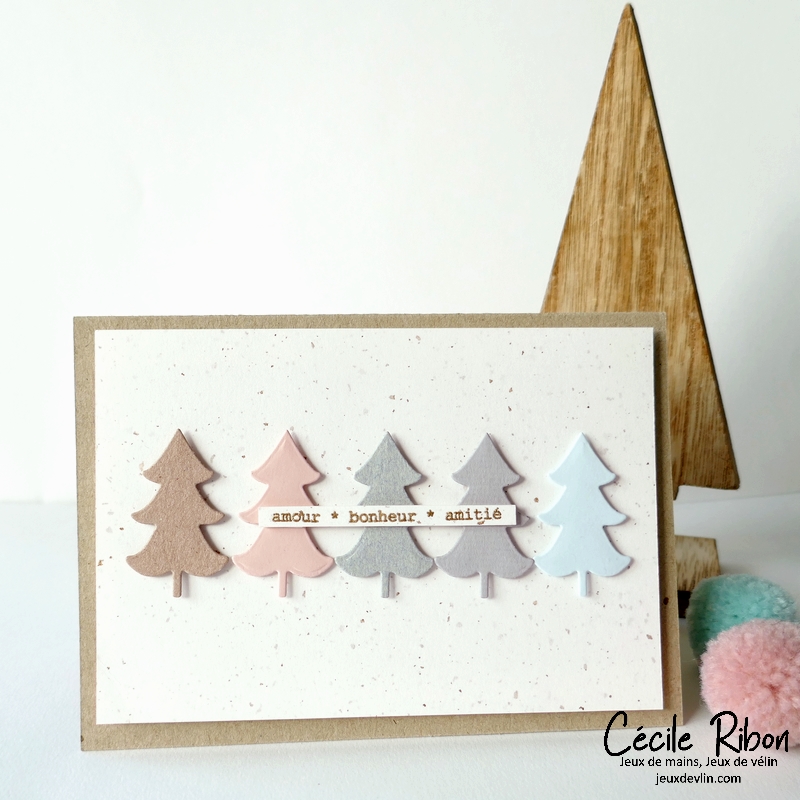 Carte CC&S500 - P1370881