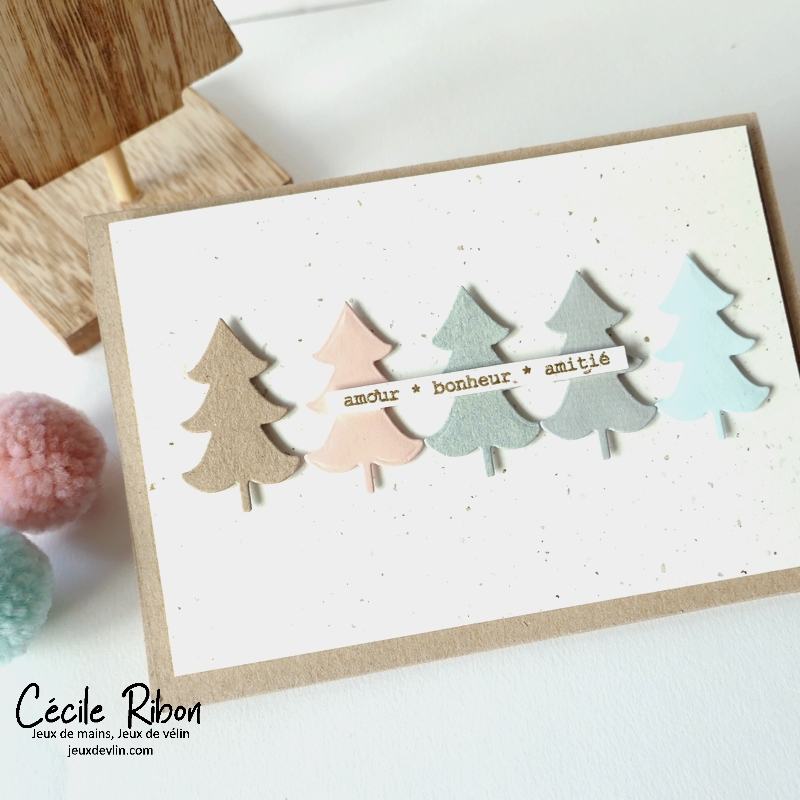 Carte CC&S500 - P1370887