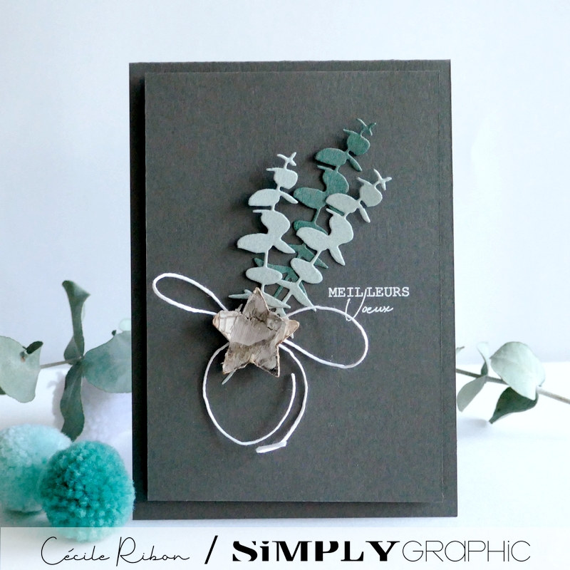 Carte SGAvent08 - P1370629