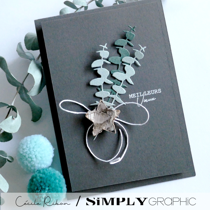 Carte SGAvent08 - P1370637