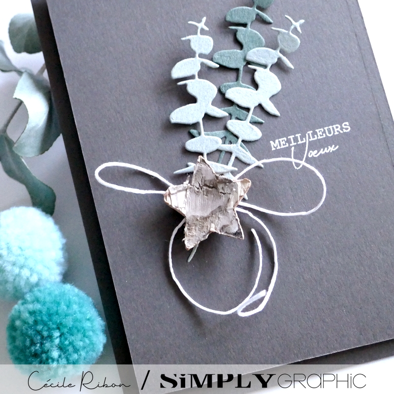 Carte SGAvent08 - P1370648