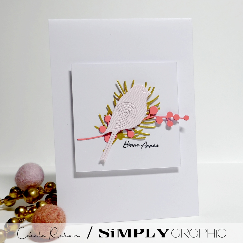 Carte SGAvent09 - P1370677