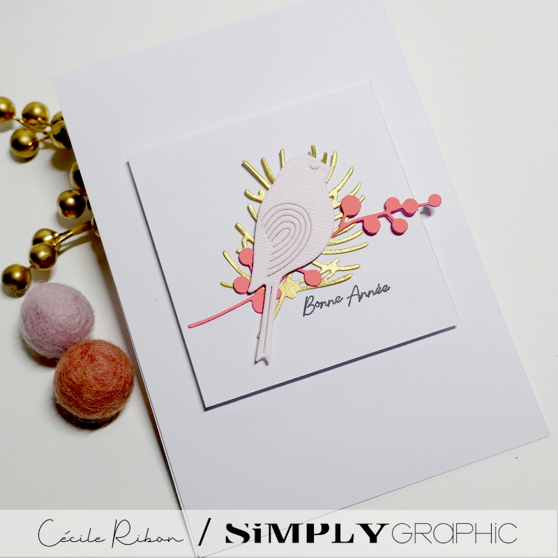 Carte SGAvent09 - P1370683