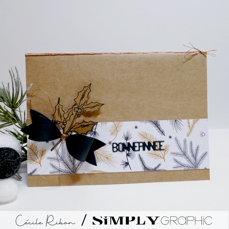 Carte SGAvent10 - P1370761