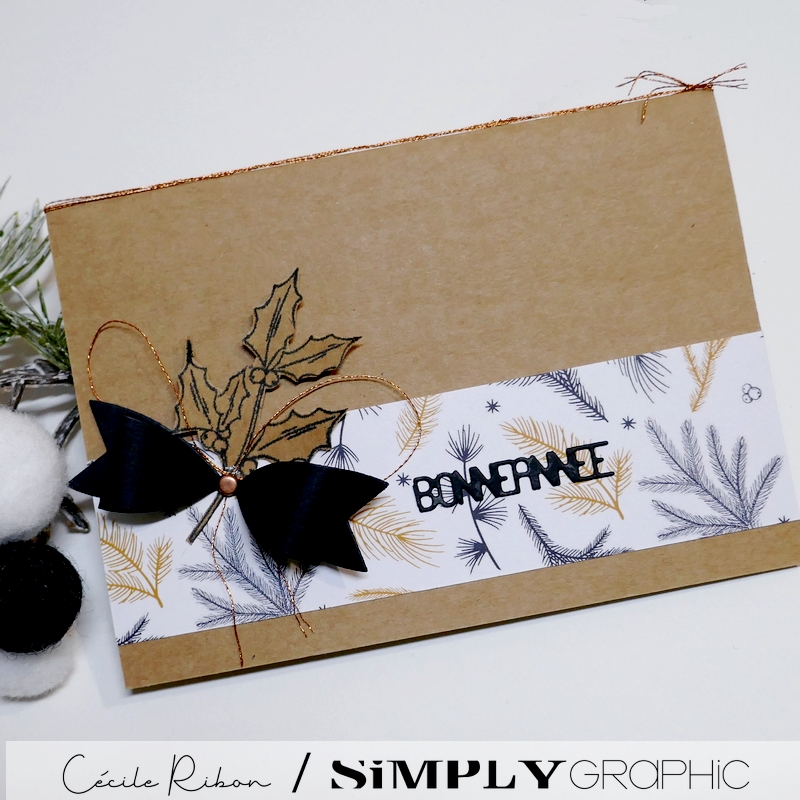 Carte SGAvent10 - P1370762