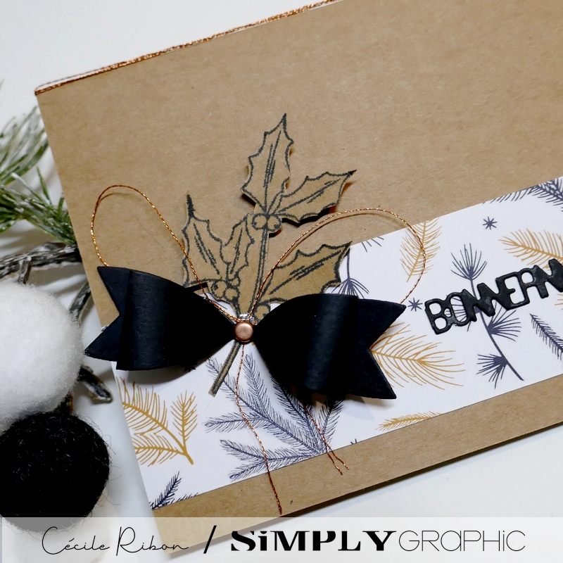 Carte SGAvent10 - P1370770