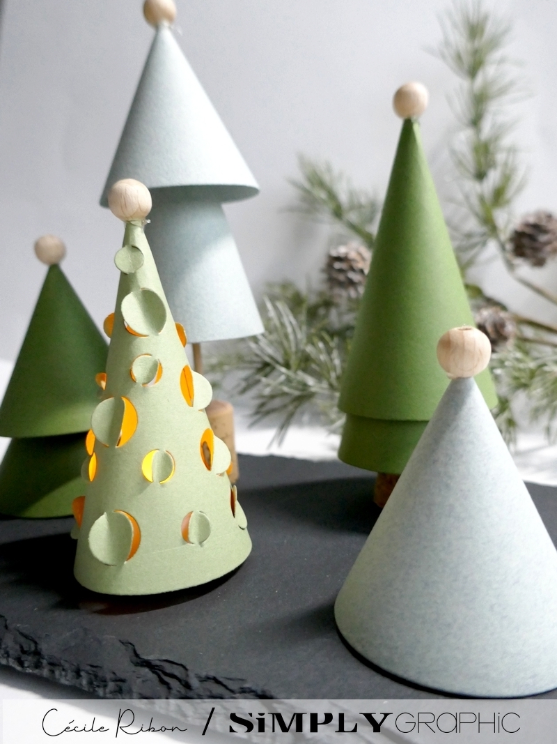 Carte SGAvent12 - P1370820