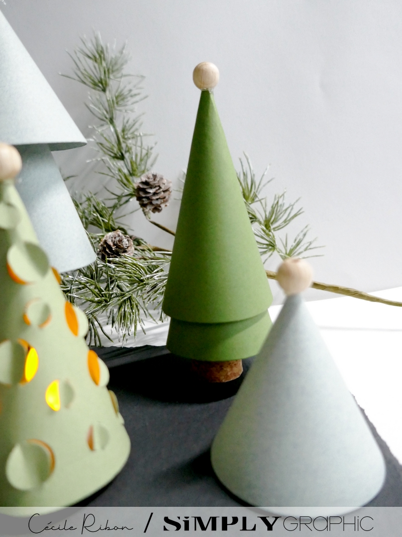 Carte SGAvent12 - P1370824