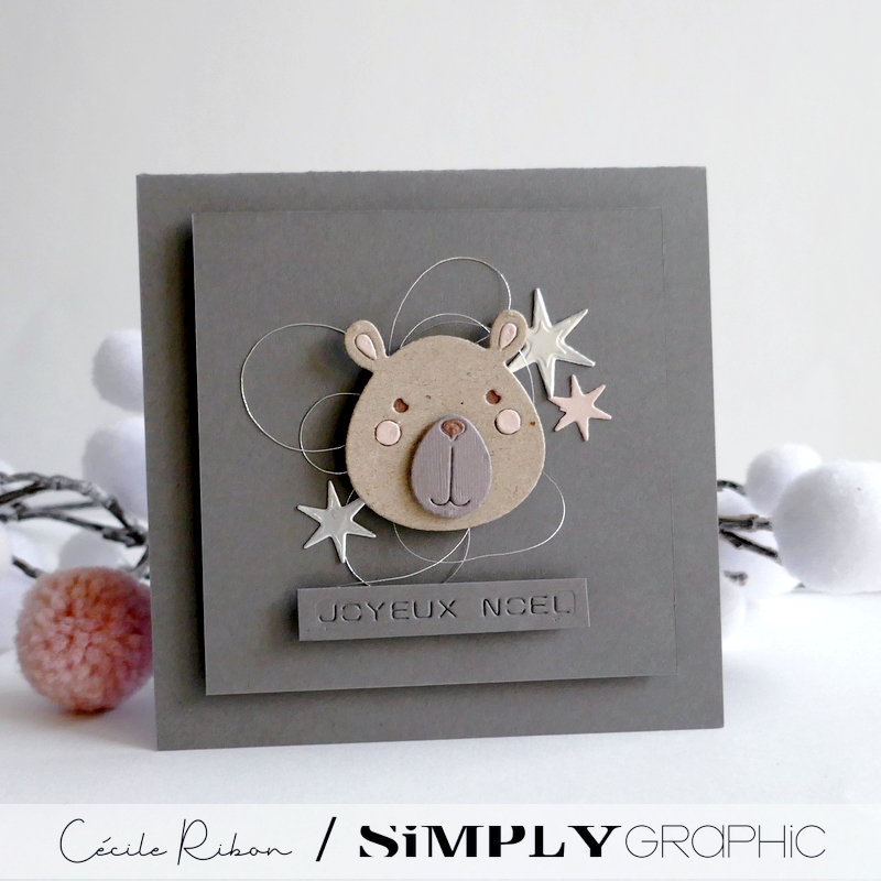 Carte SGAvent13 - P1370860