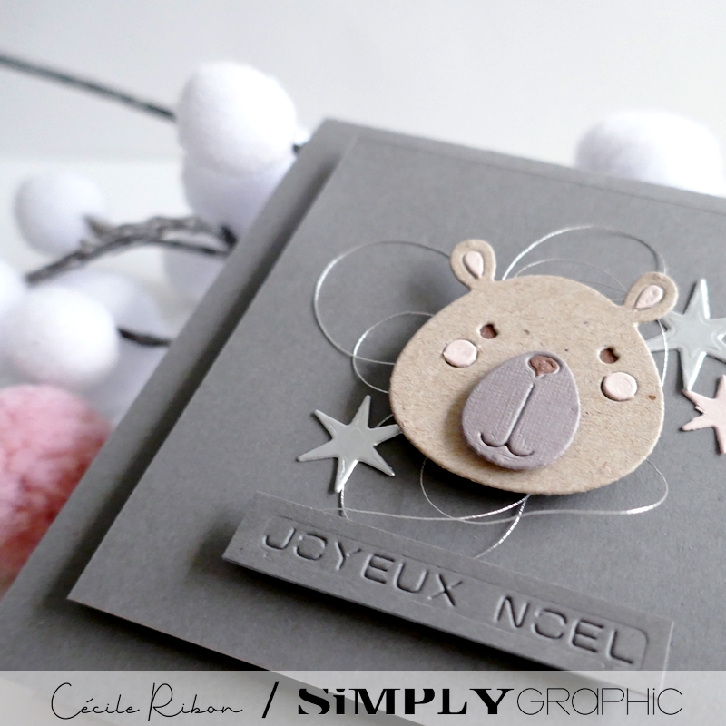 Carte SGAvent13 - P1370871