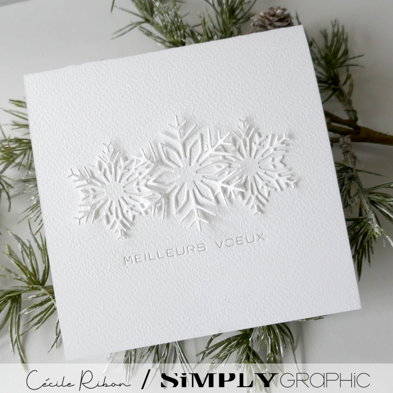 Carte SGAvent15 - P1380048