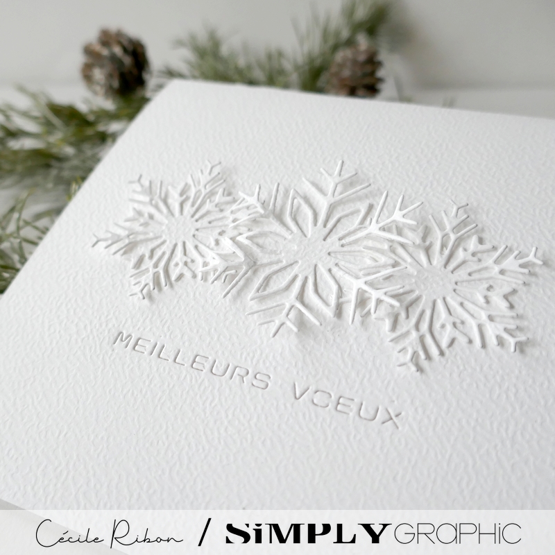 Carte SGAvent15 - P1380060