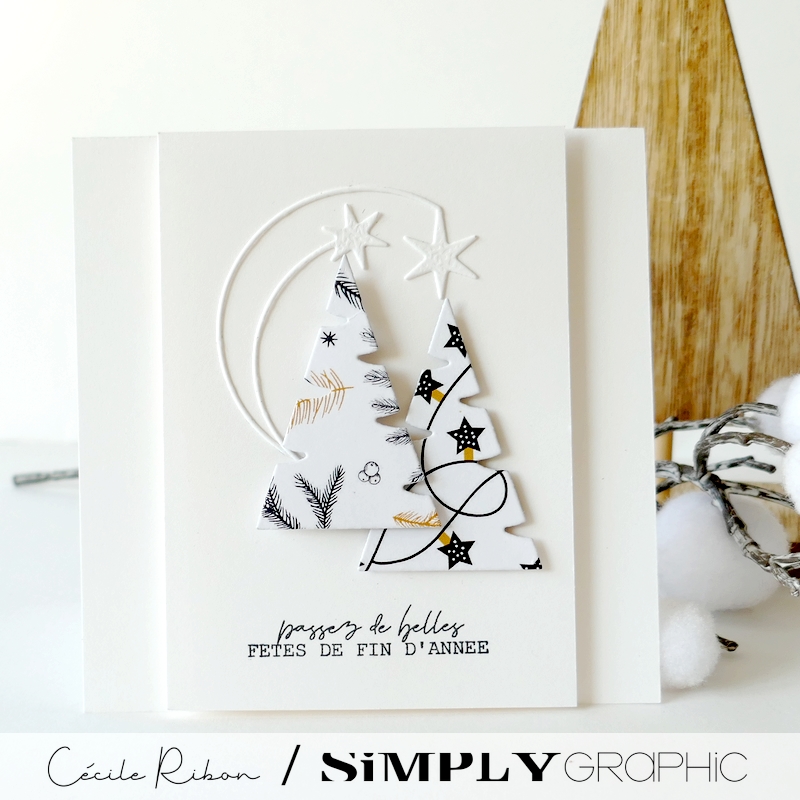 Carte SGAvent16 - P1380149