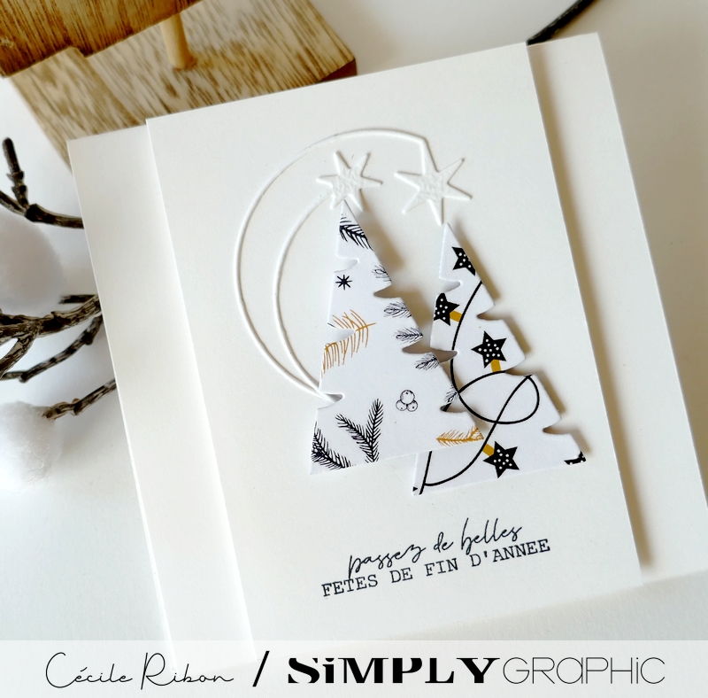 Carte SGAvent16 - P1380158