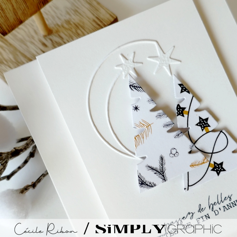 Carte SGAvent16 - P1380164