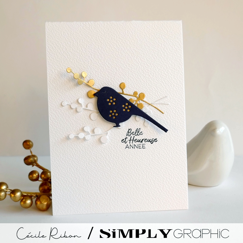 Carte SGAvent18 - P1380236