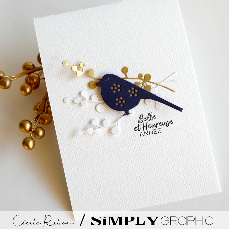 Carte SGAvent18 - P1380242