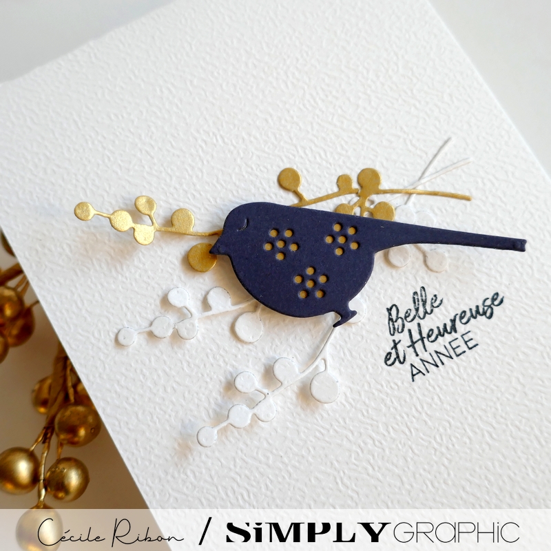 Carte SGAvent18 - P1380248