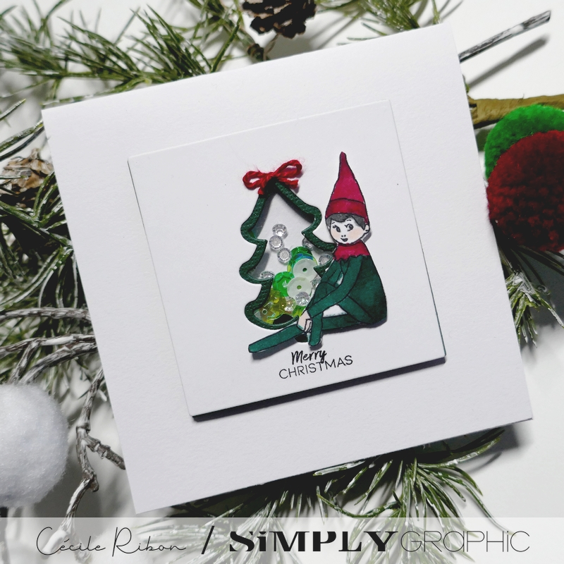 Carte SGAvent19 - P1380281