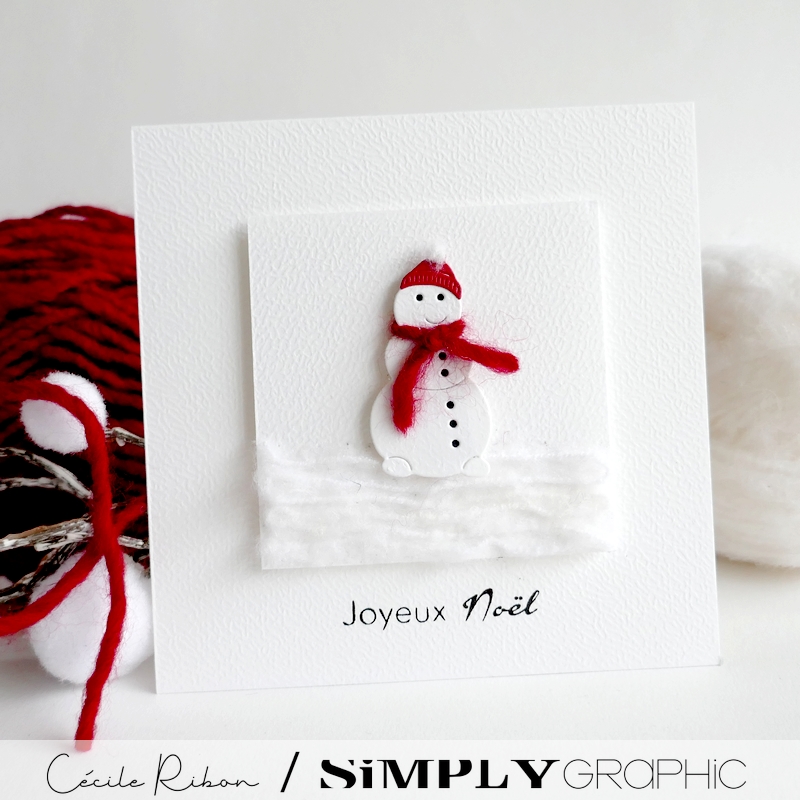 Carte SGAvent21 - P1380381