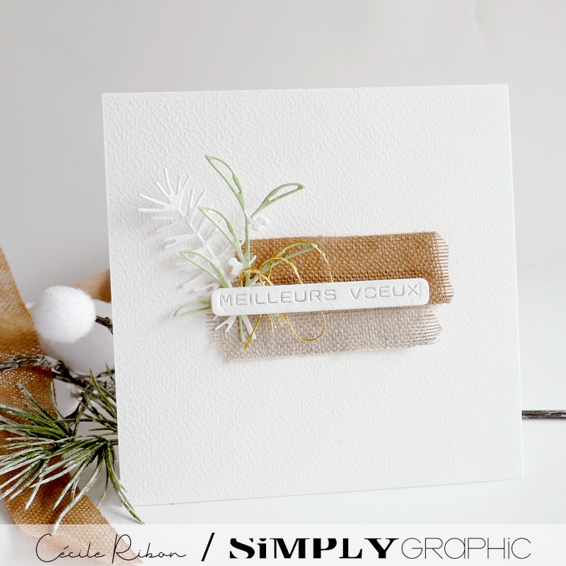 Carte SGAvent22 - P1380407