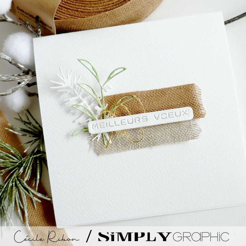 Carte SGAvent22 - P1380419