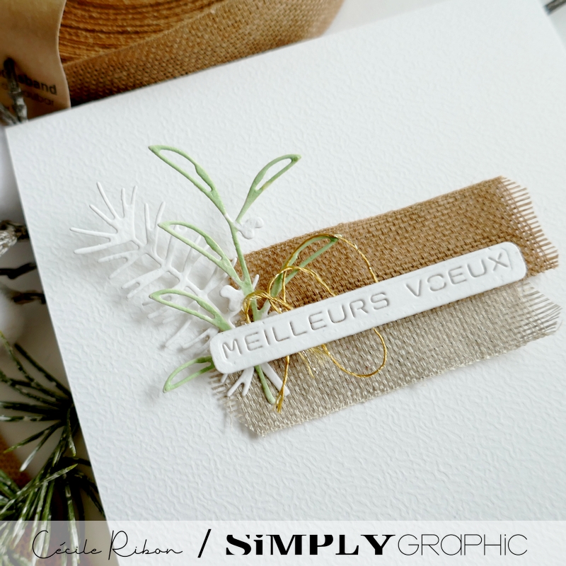 Carte SGAvent22 - P1380420