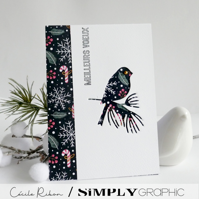 Carte SGAvent23 - P1380464