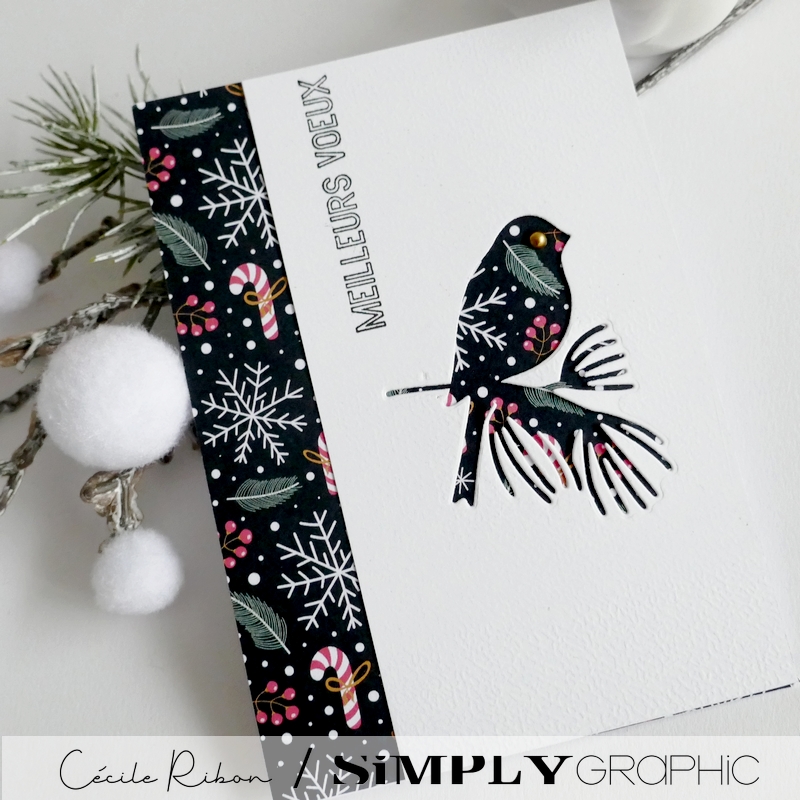 Carte SGAvent23 - P1380469