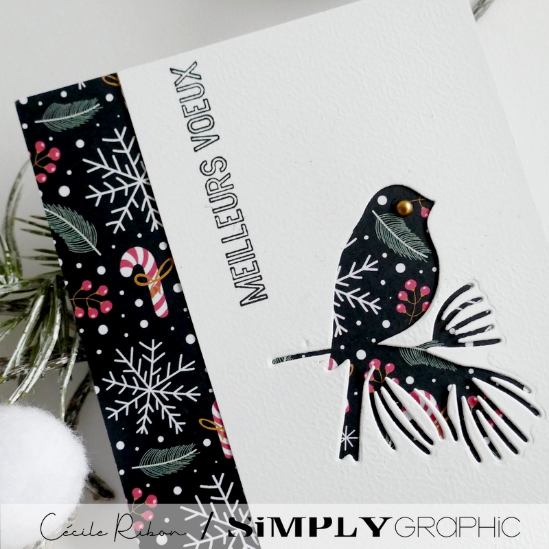 Carte SGAvent23 - P1380477