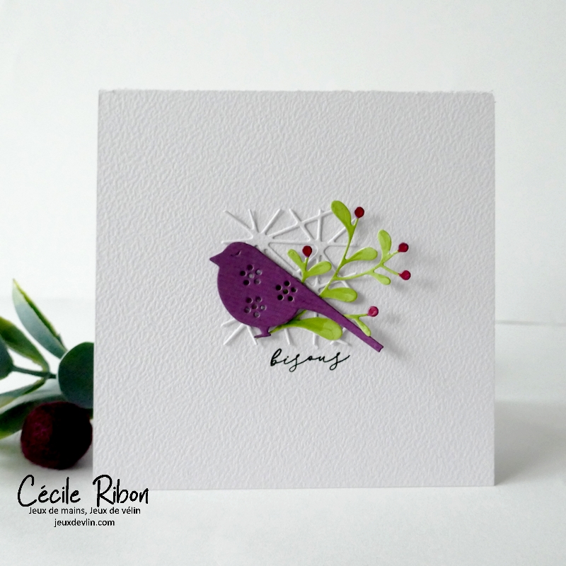 Carte CC&amp;S501 - P1380695