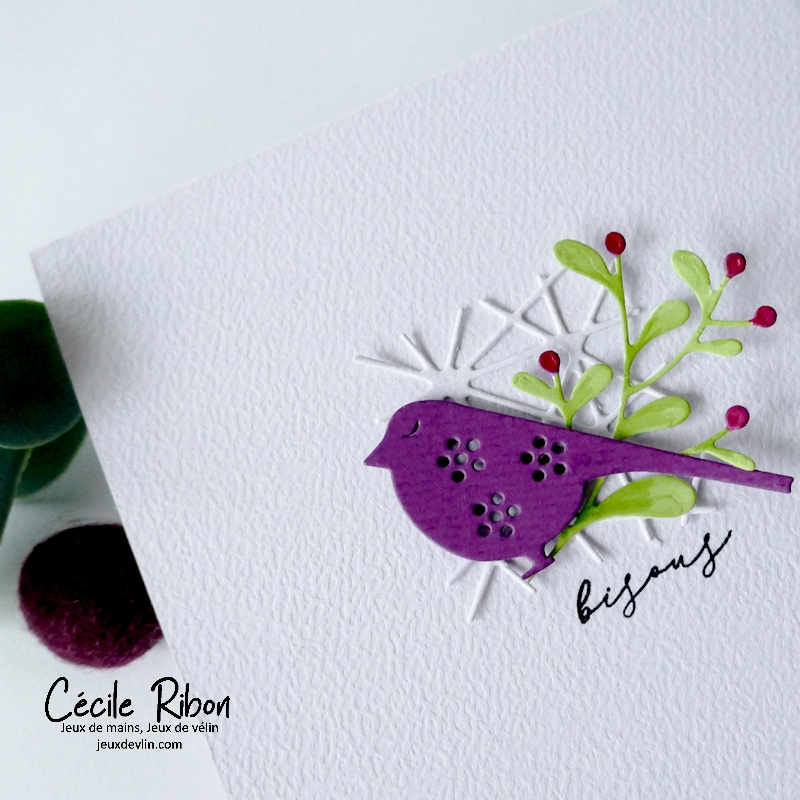 Carte CC&amp;S501 - P1380707