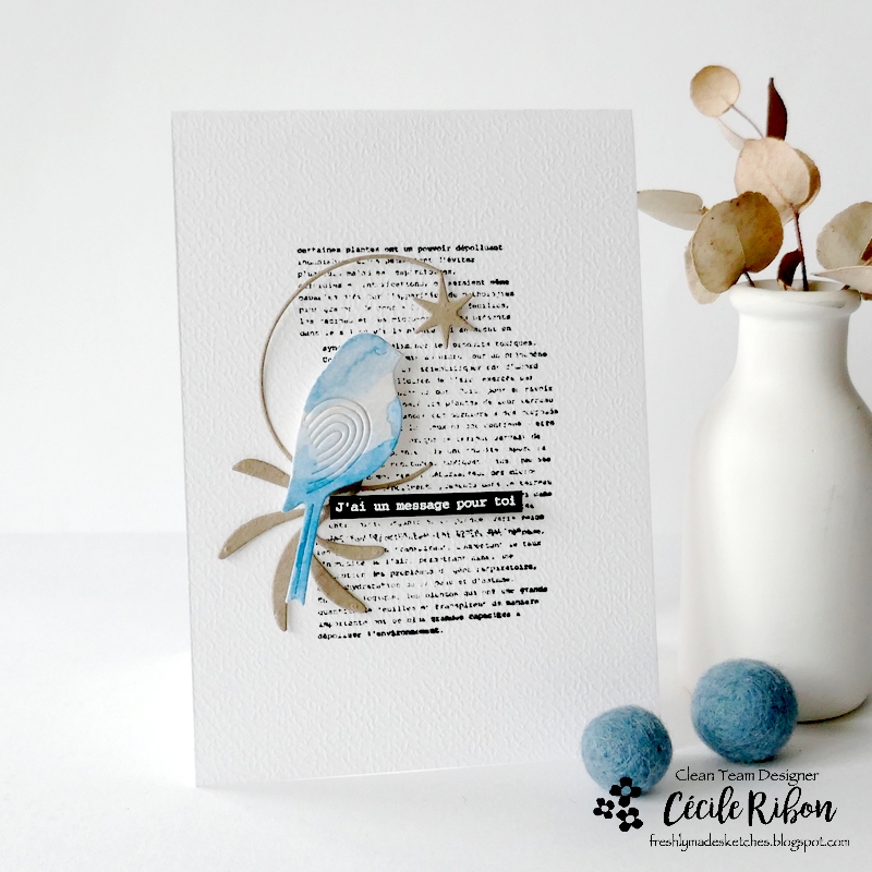 Carte FMS567 - P1380720