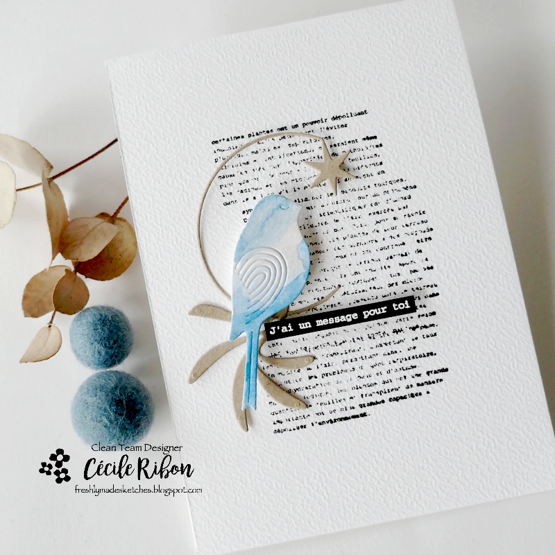 Carte FMS567 - P1380729