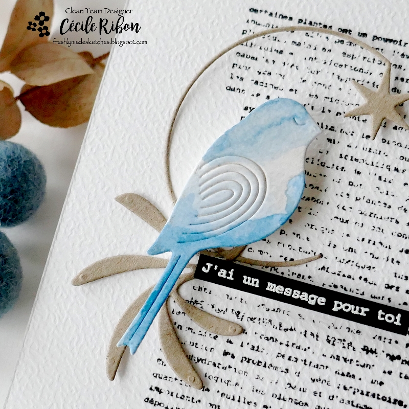 Carte FMS567 - P1380735